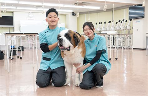 Yic京都ペット総合専門学校 京都の専門学校ガイド 京専各