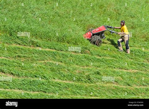 Slope Grass Cutting Banque De Photographies Et Dimages Haute