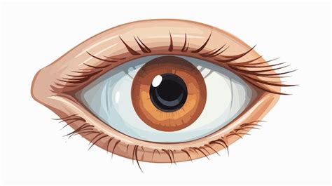 Un dibujo de un ojo marrón con un ojo negro y un ojo marró Vector