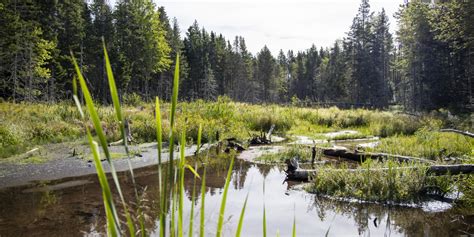 Home Island Nature Trust