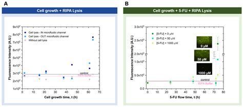 Chemosensors Free Full Text Microfluidic Detection Of Adenylate