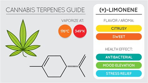 Featured Terpene Limonene Medical Terpenes