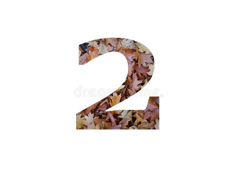 Number Of The Alphabet Made With Autumn Brown Oak Leaves Stock Photo