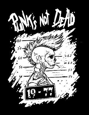 Punks Not Dead Patch Aufn Her Neu Punk Punkrock Casualties Exploited