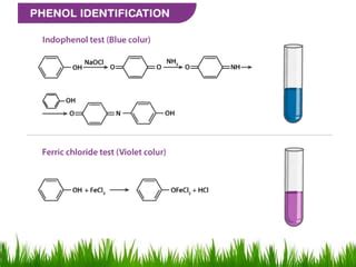 Phenols | PPT