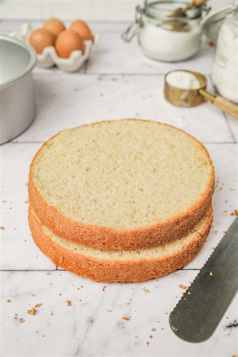 cake recipes sponge 7