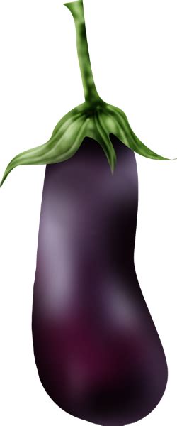 Tube Légume Aubergine Png Vegetable Eggplant Png