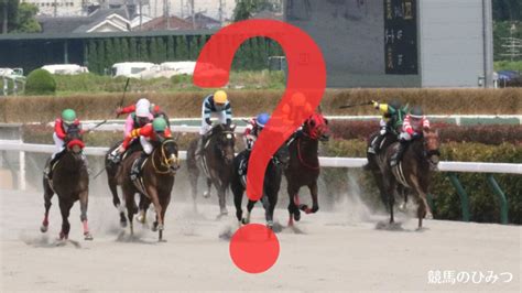 【予想】2024年11月3日（日曜）京都11r みやこステークス GⅢ 【競馬のひみつ】無料レース予想ブログ