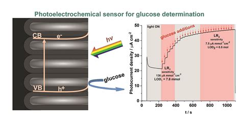 Photoelectrochemical Sensor at Abigail Fawsitt blog 