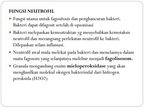 PPT DARAH PERIFER SUM SUM TULANG DAN HEMATOPOIESIS PowerPoint