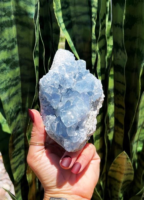 Celestite Geode For Expression Speaking Your Truth Throat Chakra