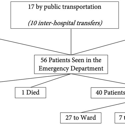 Patient Flow Diagram This Figure Demonstrates The Flow Of Our Patients