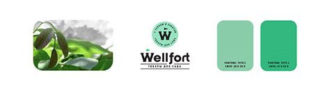 Wellfort :: Behance