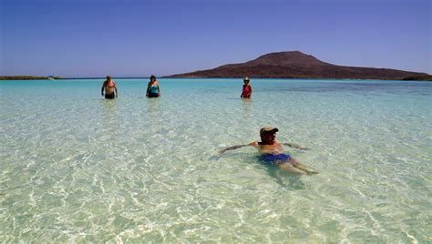 Isla Coronado Archives - Discover Baja Travel Club