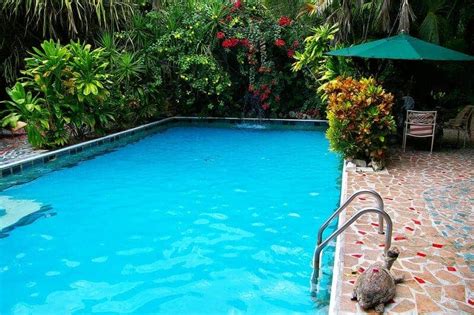 Tropical Pool Designs: Creating a Paradise in Your Backyard | Pool Pricer