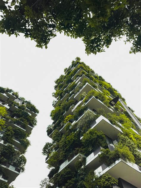 The Rise Of Vertical Forests CAROM