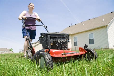 Yard work stock photo. Image of landscaping, activity - 2503922