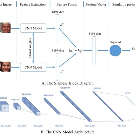 General Structure Of The Proposed Neural Network A Siamese Block