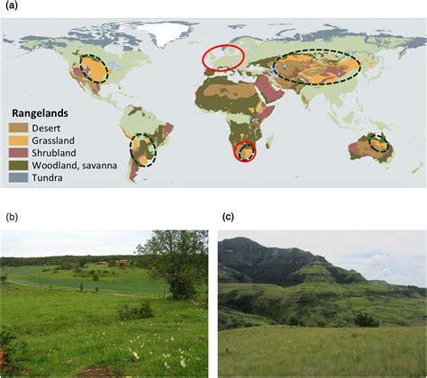 Grasslandsmore Important For Ecosystem Services Than You Might Think