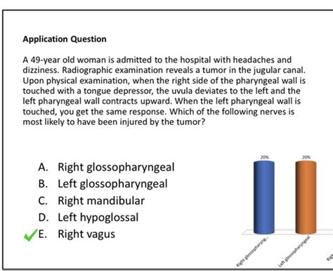 Gross Anatomy B Diseases Flashcards Quizlet