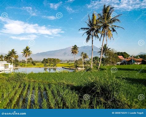 Beautiful Natural Mountain Scenery In The Countryside In Garut West