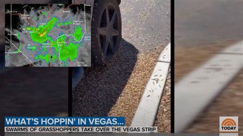 Radar Shows 30 Metric Tons Of Grasshoppers Swarmed Las Vegas