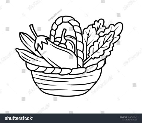 623 Vegetable Basket Outline Colouring Images Stock Photos And Vectors