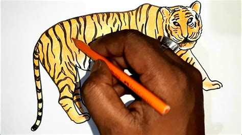 Easy Trick For Royal Bengal Tiger Drawing How To Draw A Tiger Step