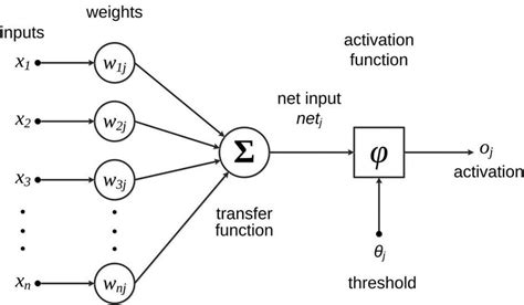 3 the architecture of a Perceptron. | Download Scientific Diagram