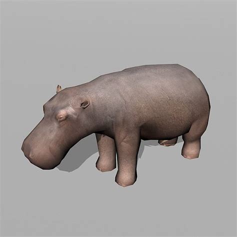 D Model Hippopotamus Hippo Vr Ar Low Poly Cgtrader