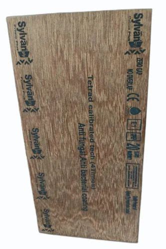 19mm Sylvan Primo Plus Plywood Boards For Furniture Size Sq Ft 8