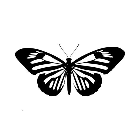 Icono De Silueta De Mariposa Negra Aislado En Fondo Blanco Generativo