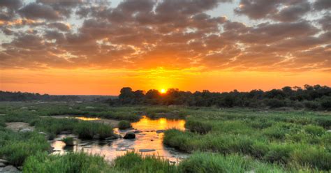 Best Time To Visit Kruger National Park Rhino Africa