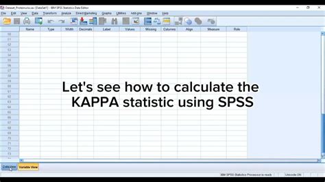 Interrater Reliability Test Using Kappa Statistic With Spss 💯 Youtube