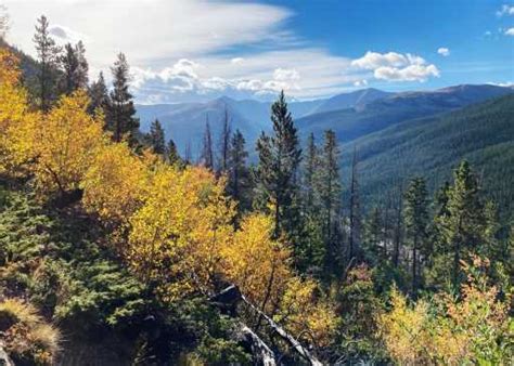 Scenic Drives For Leaf Peeping Fall Colors In Colorado Best Travel Tale