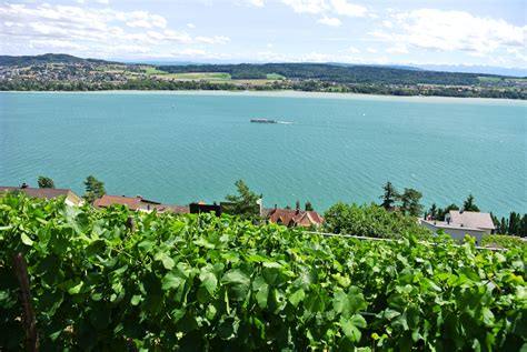 Bielersee Rebenweg Wanderung Von Biel Nach Ligerz Wandertipp