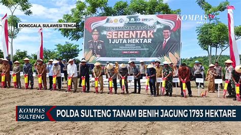 Polda Sulteng Tanam Benih Jagung 1793 Hektare Video Dailymotion