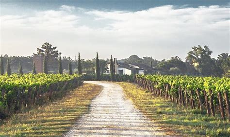 Enoturismo Da Rota Dos Vinhos Verdes Abre As Portas A 2 De Setembro