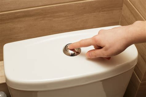 How Do You Fix A Push Button Toilet That Won T Flush At David Emma Blog