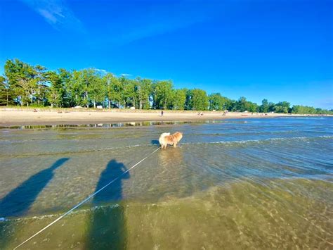 Southwick Beach State Park Henderson Ny Adventures In New York