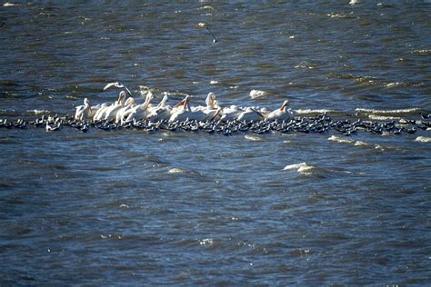 You can take your boat out on Cherry Creek Reservoir starting Saturday