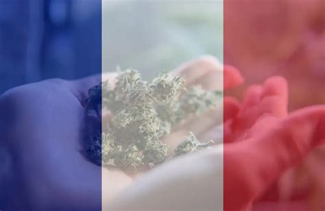 Les Usages Du CBD En France Cbd Medical