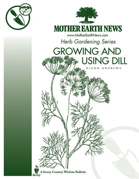 Growing And Using Dill E Handbook Mother Earth News