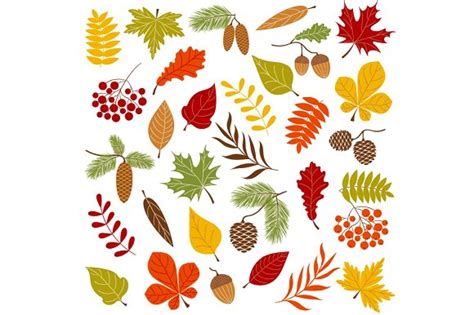 Autumn forest clipart 20 free Cliparts | Download images on Clipground 2024