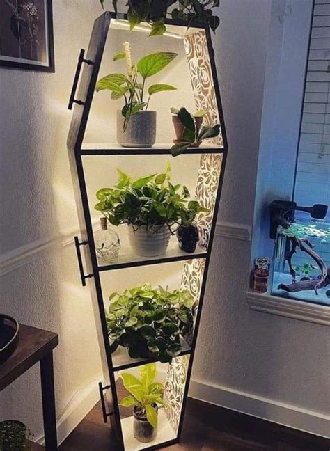 This coffin-shaped glass or plastic plant shelf : r/HelpMeFind