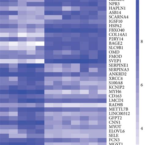 Volcano Plot And Heat Map Of The Differentially Expressed Genes Degs