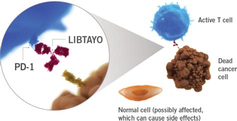 What is LIBTAYO® (cemiplimab-rwlc) | Advanced CSCC