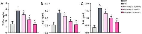 Rg1 Alleviated The HG Induced Inflammatory Response HBZY 1 Cells Were