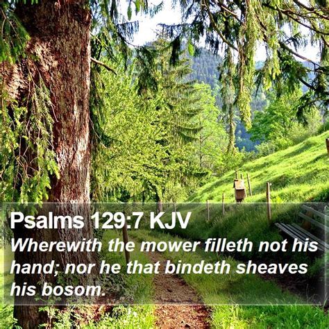 Psalms 1297 Kjv Bible Verse Images