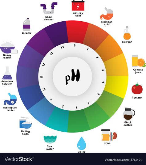 Ph Scale Universal Indicator Ph Color Chart Vector Image | Images and ...